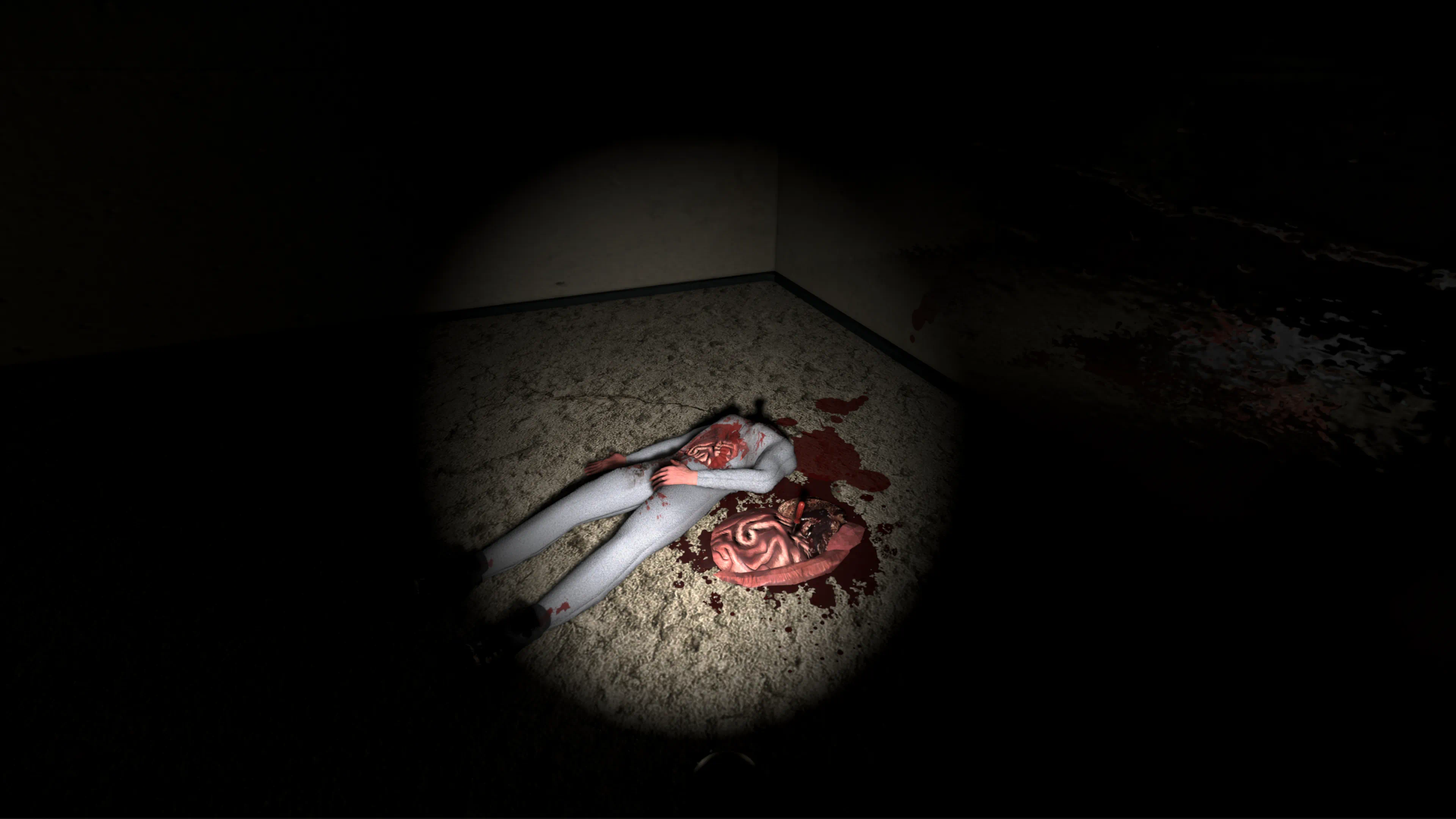 A flashlight beam falls on a mutilated body and pooling blood in the corner of a dark room